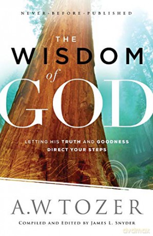 Wisdom Of God The - Tozer A W James L Sn [KSIĄŻKA]