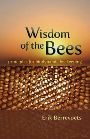Wisdom Of The Bees - Erik Berrevoets [KSIĄŻKA]