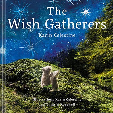 Wish Gatherers - Karin Celestine [KSIĄŻKA]