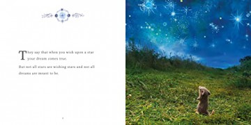 Wish Gatherers - Karin Celestine [KSIĄŻKA]