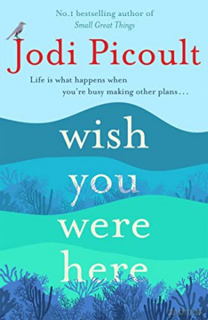 Wish You Were Here - Jodi Picoult [KSIĄŻKA]