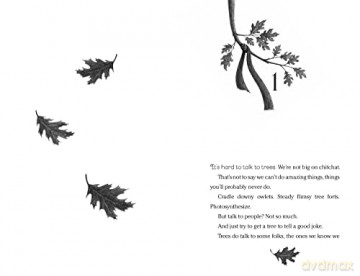 Wishtree - Katherine Applegate [KSIĄŻKA]