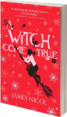 Witch Come True - James Nicol [KSIĄŻKA]