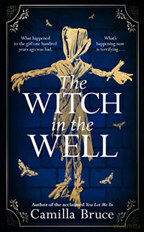 Witch In The Well - Camilla Bruce [KSIĄŻKA]