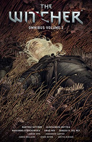 Witcher Omnibus Volume 2 - B Et Al Sztybor [KSIĄŻKA]