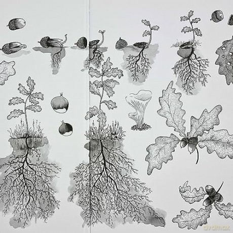 Within My Branches - Nicolas Michel [KSIĄŻKA]