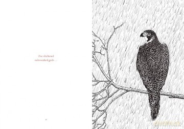 Within My Branches - Nicolas Michel [KSIĄŻKA]