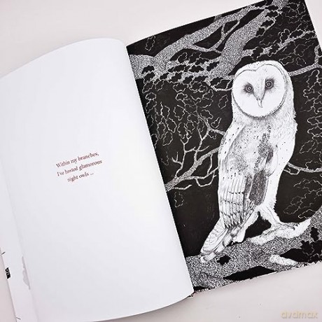 Within My Branches - Nicolas Michel [KSIĄŻKA]
