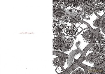 Within My Branches - Nicolas Michel [KSIĄŻKA]