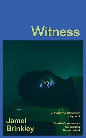 Witness - Jamel Brinkley [KSIĄŻKA]