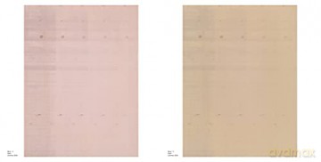Wolfgang Tillmans Saturated Light - Tom Holert [KSIĄŻKA]