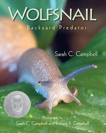 Wolfsnail Pb - Sarah C. Campbell [KSIĄŻKA]
