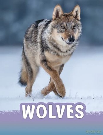 Wolves - Mari Schuh [KSIĄŻKA]