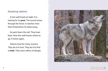 Wolves - Mari Schuh [KSIĄŻKA]