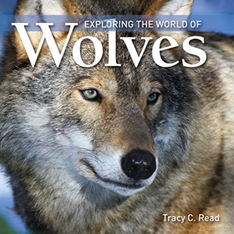 Wolves - Tracey Read [KSIĄŻKA]
