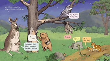 Wombats Are Pretty Weird Hb - Cushman Abi [KSIĄŻKA]