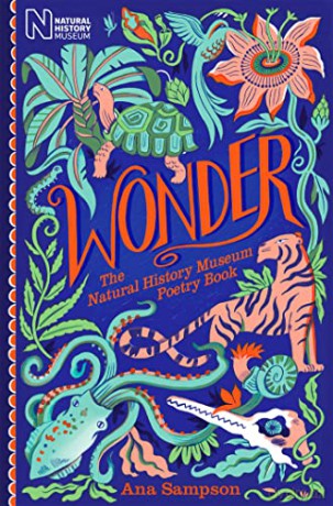 Wonder - Ana Sampson [KSIĄŻKA]
