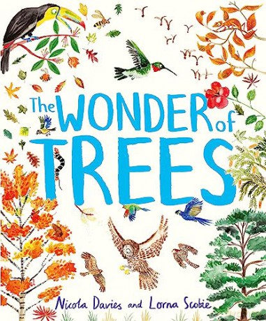 Wonder Of Trees - Nicola Davies [KSIĄŻKA]