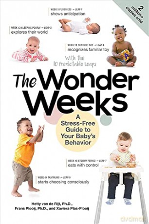 Wonder Weeks - X Et Al Plas-Plooij [KSIĄŻKA]