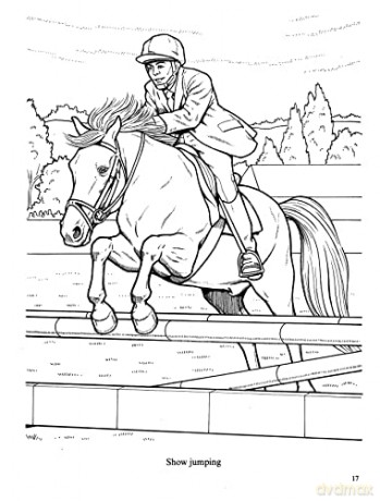 Wonderful World Of Horses Coloring Book - John Green [KSIĄŻKA]