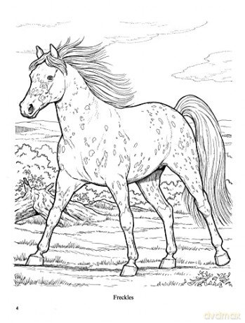 Wonderful World Of Horses Coloring Book - John Green [KSIĄŻKA]