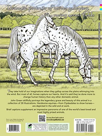 Wonderful World Of Horses Coloring Book - John Green [KSIĄŻKA]