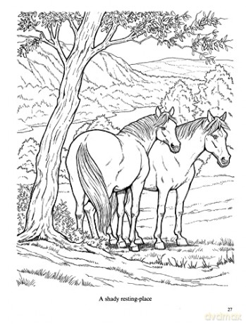 Wonderful World Of Horses Coloring Book - John Green [KSIĄŻKA]