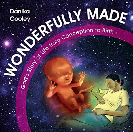 Wonderfully Made - Danika Cooley [KSIĄŻKA]