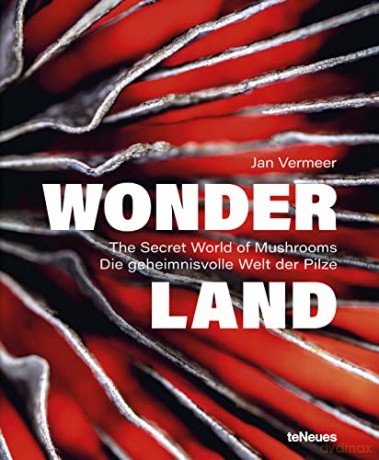 Wonderland The Secret World Of Mushrooms - Jan Vermeer [KSIĄŻKA]