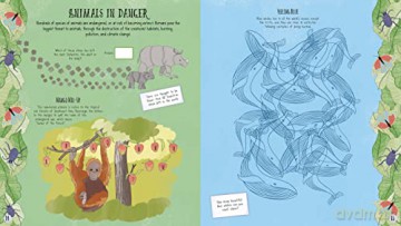 Wonders Of Nature Activity Book - Emily Stead [KSIĄŻKA]