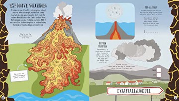 Wonders Of Nature Activity Book - Emily Stead [KSIĄŻKA]
