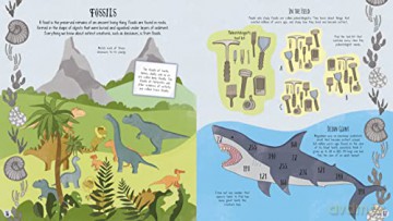 Wonders Of Science Activity Book - Lisa Regan [KSIĄŻKA]