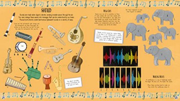 Wonders Of Science Activity Book - Lisa Regan [KSIĄŻKA]
