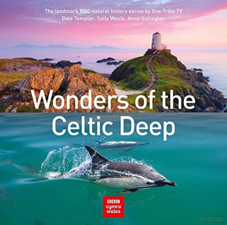 Wonders Of The Celtic Deep - Dale Templar [KSIĄŻKA]