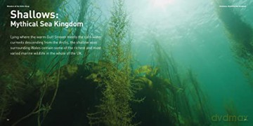 Wonders Of The Celtic Deep - Dale Templar [KSIĄŻKA]