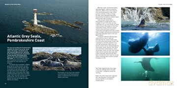 Wonders Of The Celtic Deep - Dale Templar [KSIĄŻKA]