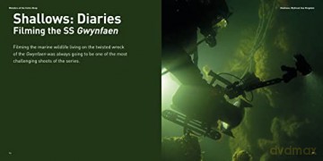 Wonders Of The Celtic Deep - Dale Templar [KSIĄŻKA]