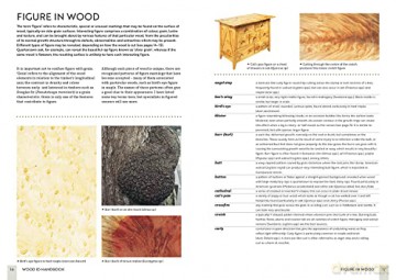 Wood Id Handbook - Terry Porter [KSIĄŻKA]