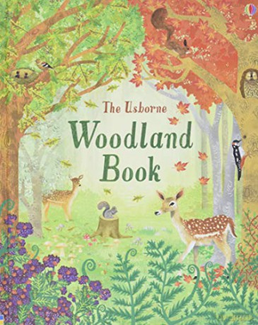 Woodland Book - Emily Bone [KSIĄŻKA]