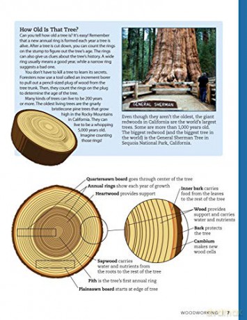 Woodworking - John Kelsey [KSIĄŻKA]