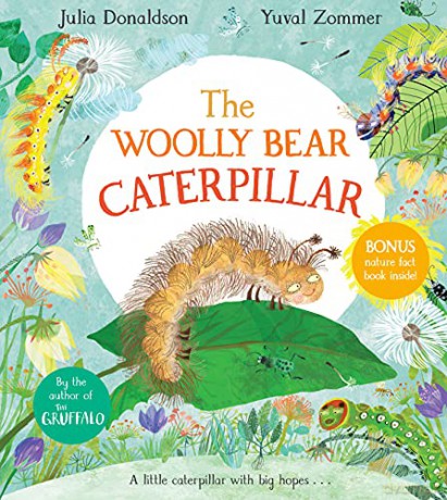 Woolly Bear Caterpillar - Julia Donaldson [KSIĄŻKA]