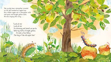 Woolly Bear Caterpillar - Julia Donaldson [KSIĄŻKA]