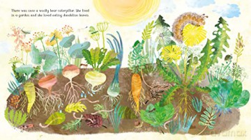 Woolly Bear Caterpillar - Julia Donaldson [KSIĄŻKA]