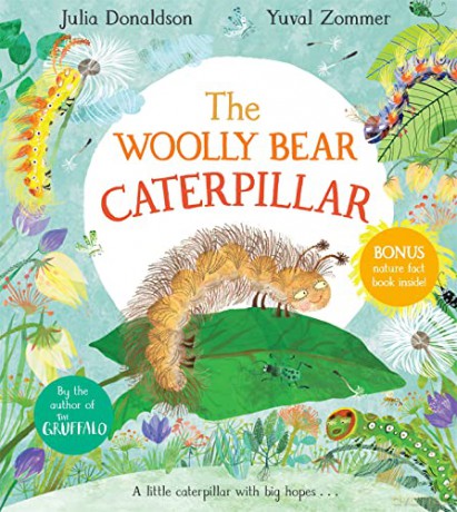 Woolly Bear Caterpillar - Julia Donaldson [KSIĄŻKA]