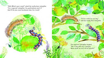 Woolly Bear Caterpillar - Julia Donaldson [KSIĄŻKA]
