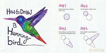 Word Bird How To Draw Book - Nicola Davies [KSIĄŻKA]