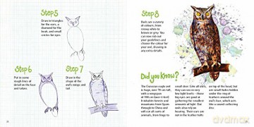 Word Bird How To Draw Book - Nicola Davies [KSIĄŻKA]