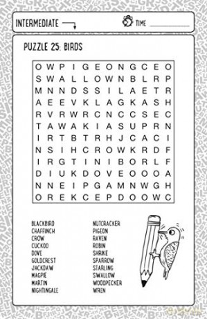 Wordsearch Workouts For Clever Kids - Gareth Moore [KSIĄŻKA]