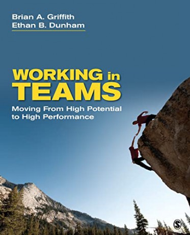 Working In Teams - Brian A Griffith [KSIĄŻKA]