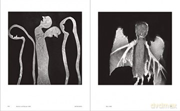 World According To Roger Ballen - Roger Ballen [KSIĄŻKA]